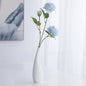 Ecodora Flower Household Vase