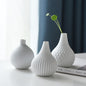 Ecodora Flower Household Vase